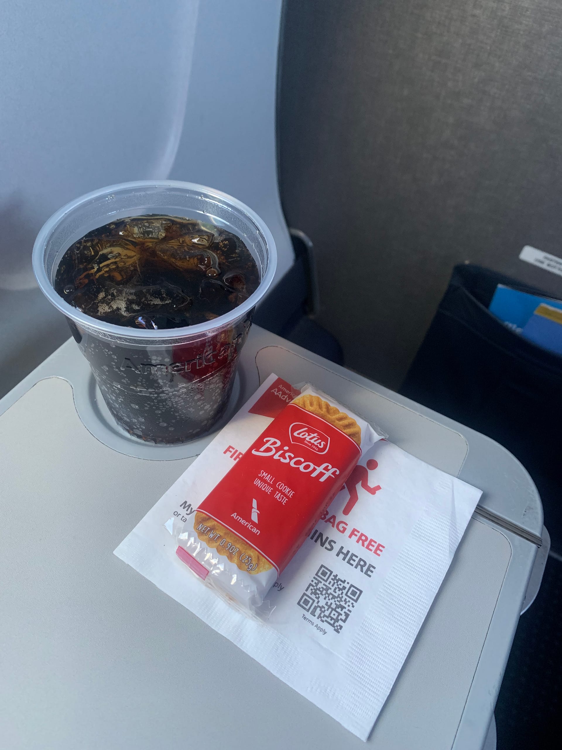 Neil Scrivener reviews American Eagle flight from San Jose to Los Angeles (SJC to LAX) - American Eagle First Class Food and Drink